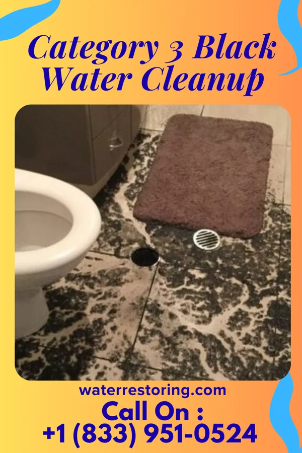 Category 3 Black Water Cleanup in Poplar Plains, CT