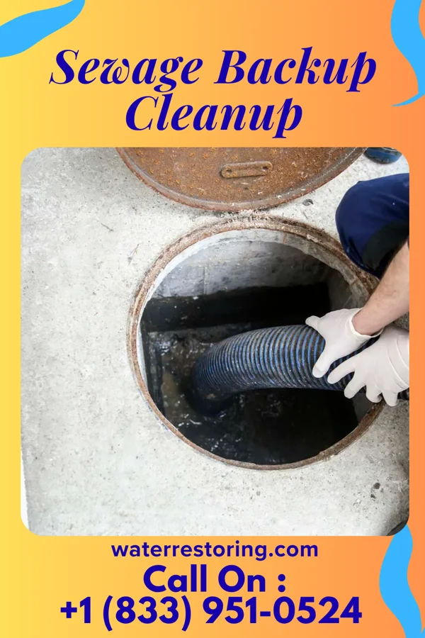 Sewage Backup Cleanup in Poplar Plains, CT