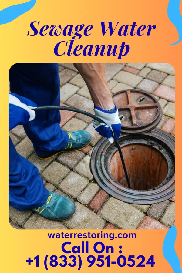 Sewage Water Cleanup in Poplar Plains, CT