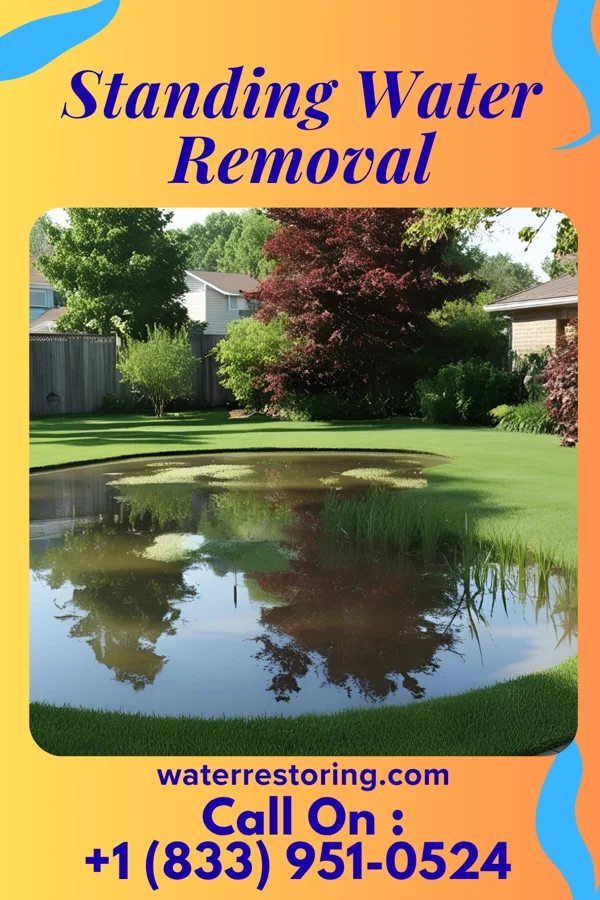 Standing Water Removal in Poplar Plains, CT